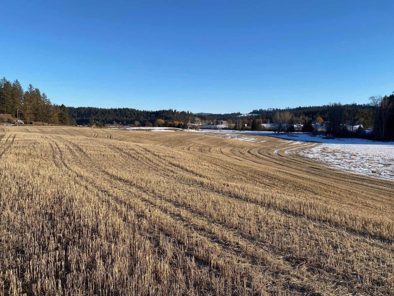 Property Photo:  8984 E Little Deep Creek Ln  WA 99005 