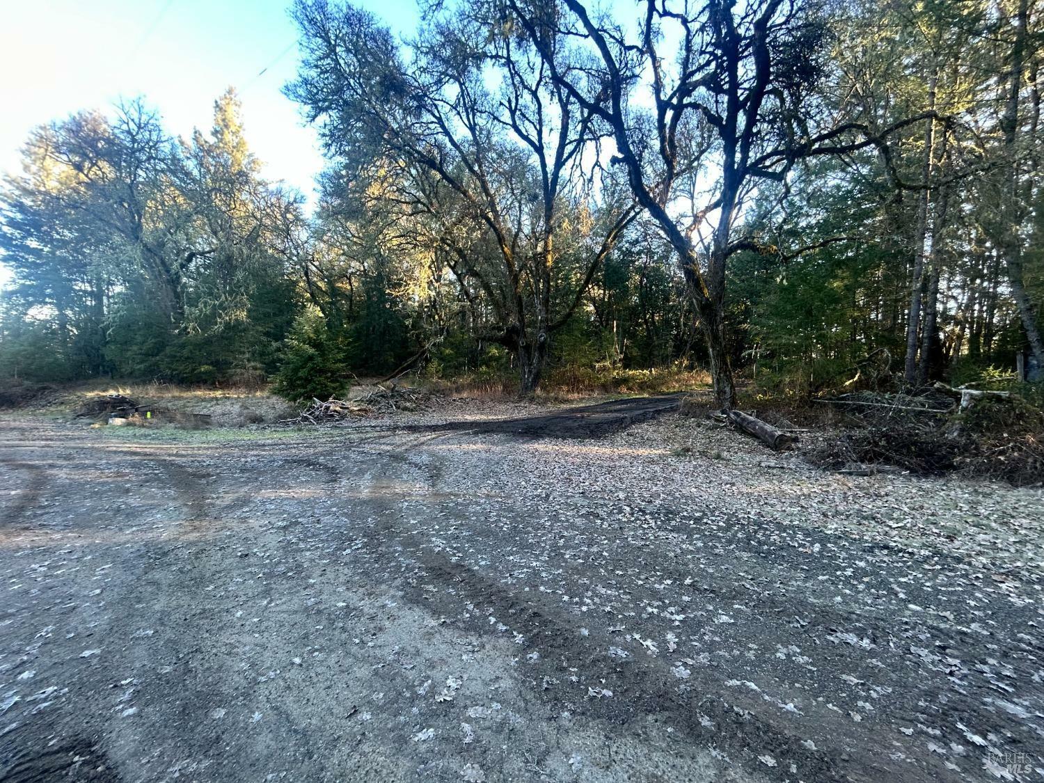 Property Photo: 17900 N Highway 101 CA 95490