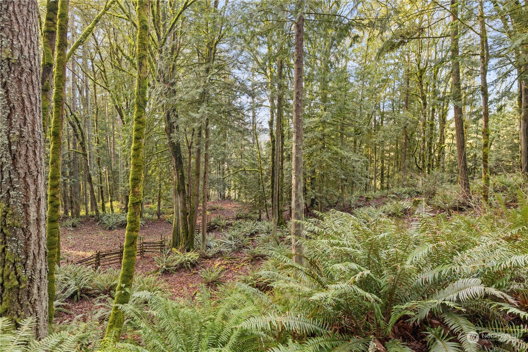 Property Photo:  23827 SE Green Valley Road  WA 98092 