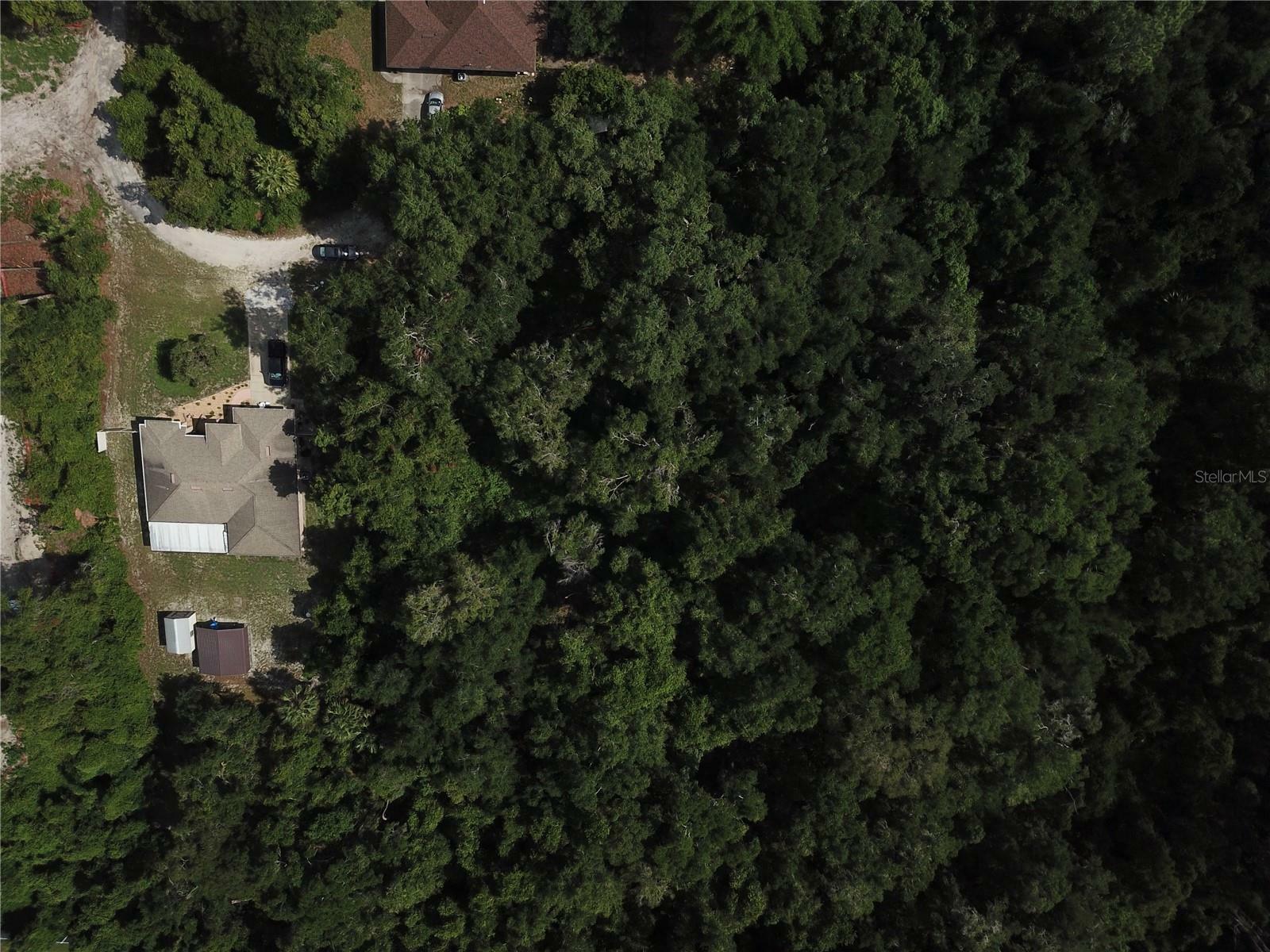 Property Photo:  Strickland Avenue  FL 32763 