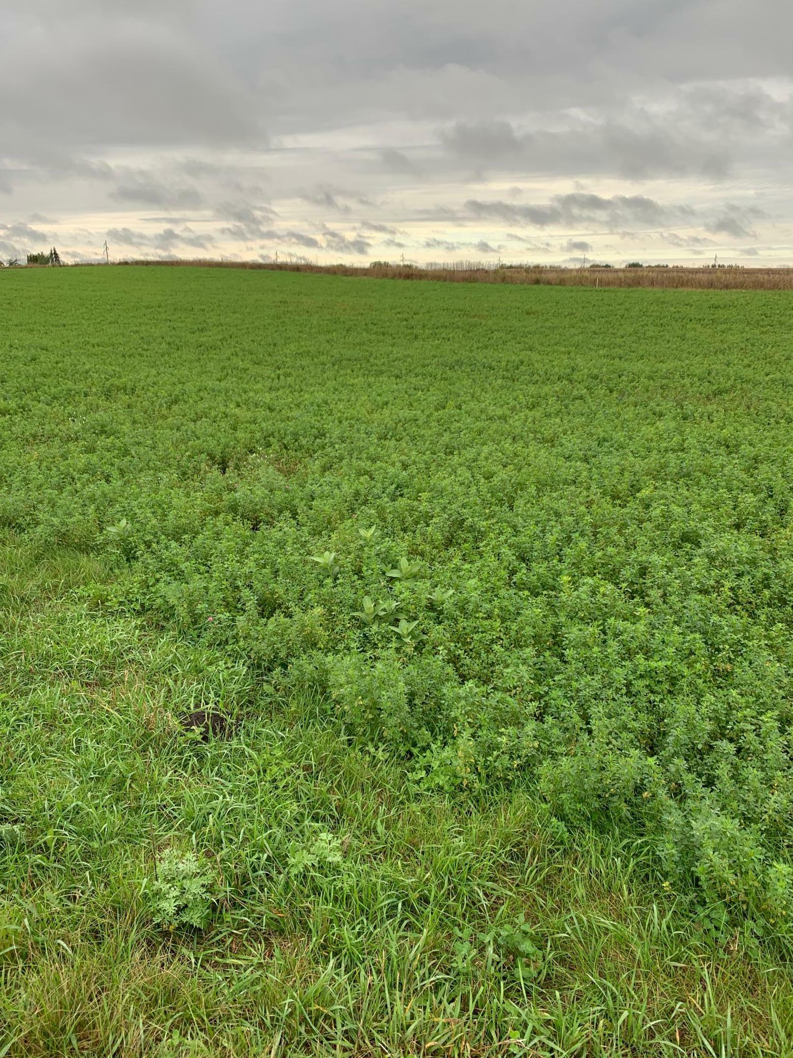 Property Photo: 10630 Marty View Circle MN 55353