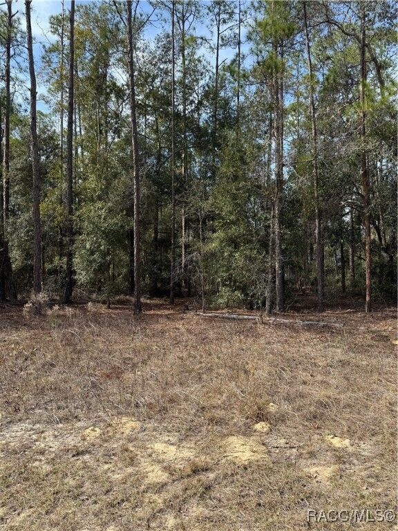 Property Photo:  8590 N Wallingford Avenue  FL 34434 