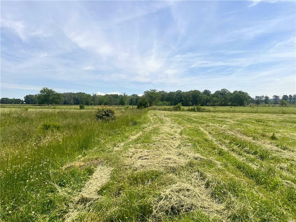 Property Photo: 00 Taylor Bridge GA 30701