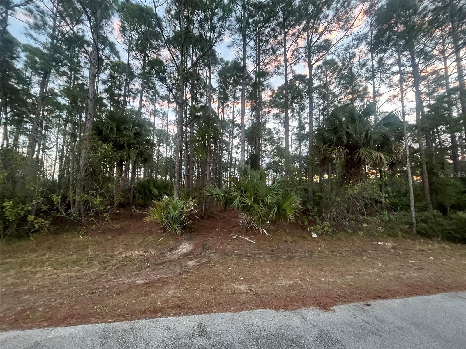 Property Photo: 2633 Quincy Avenue SE FL 32909
