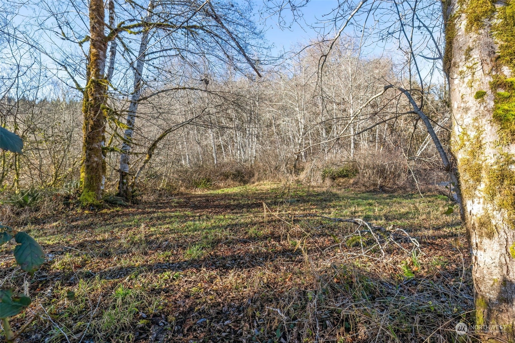 Property Photo:  1941 NE Tahuya River Road  WA 98588 