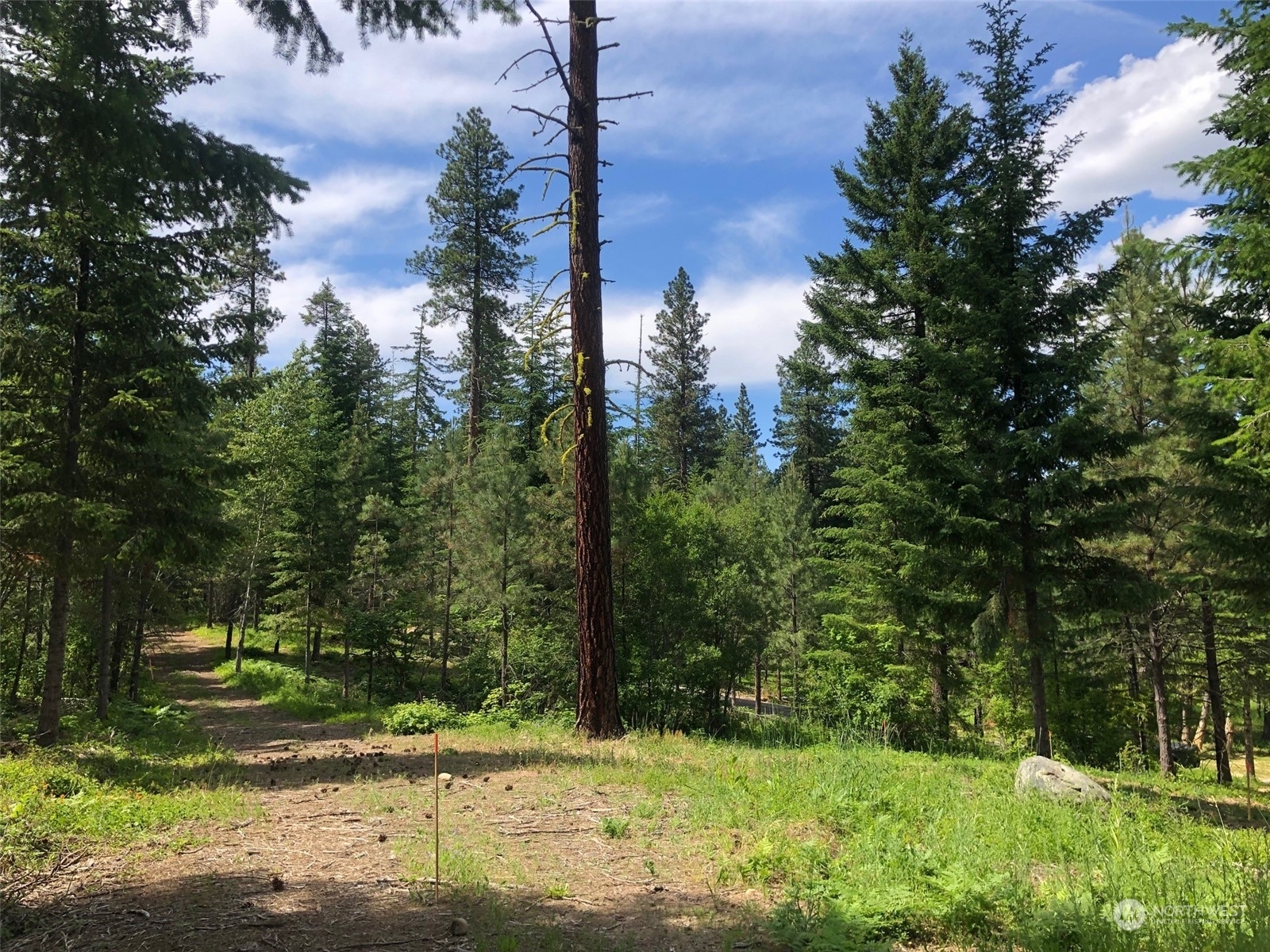 Property Photo:  20  Old Grove Trail  WA 98922 