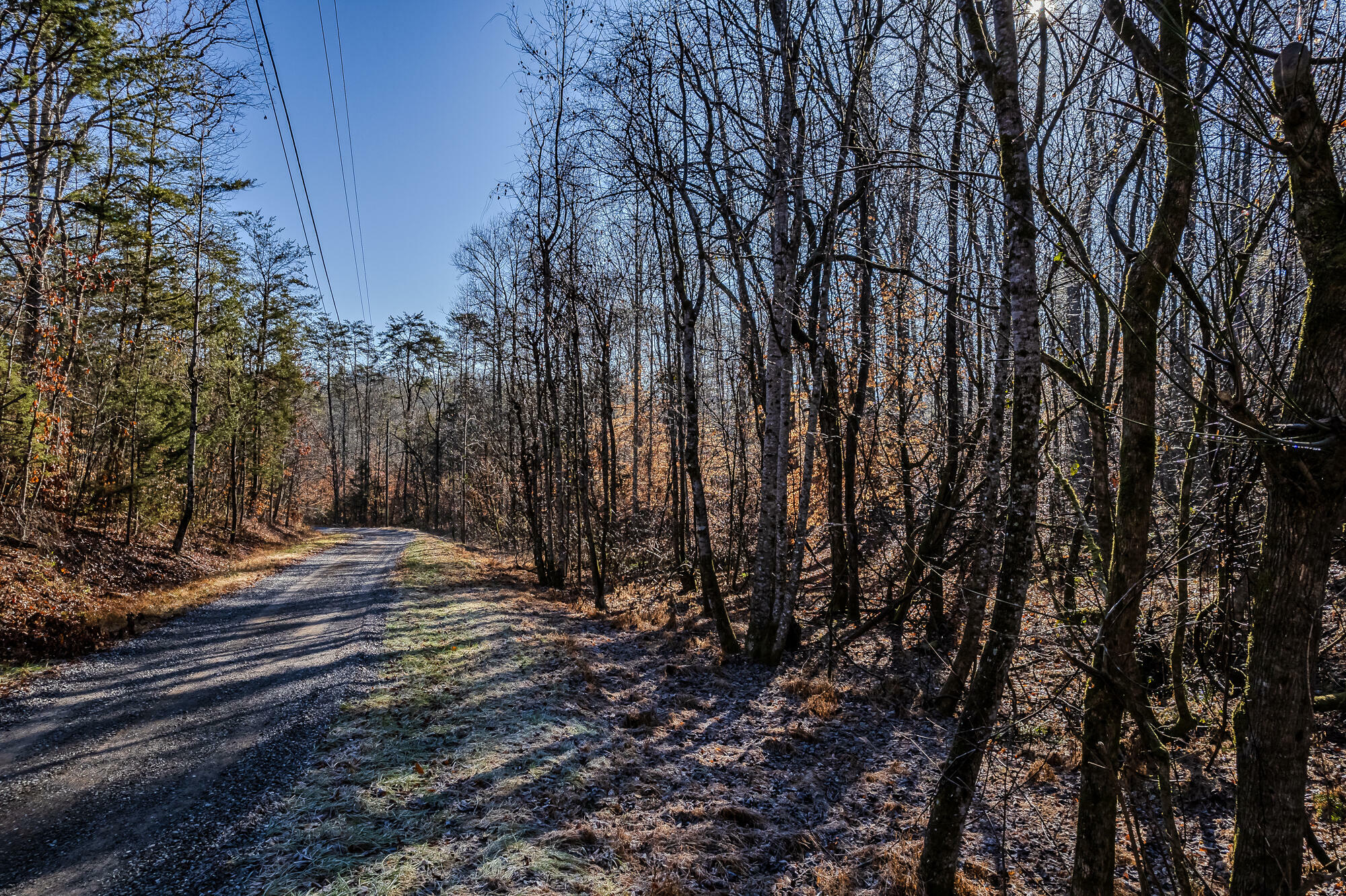 Property Photo:  00 Tellico Camp Road  TN 37354 