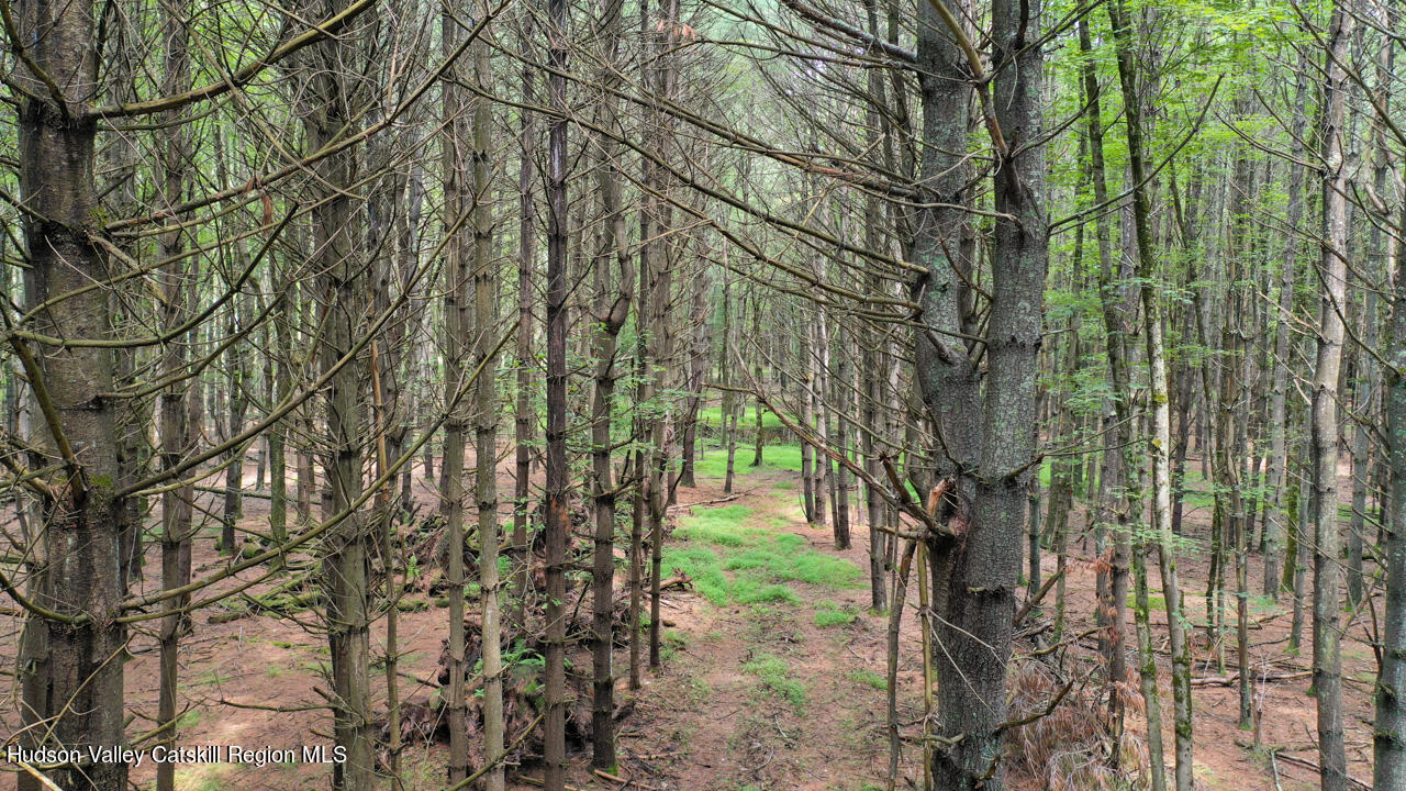 Property Photo: 00 John Joy Road Lot 2 NY 12498