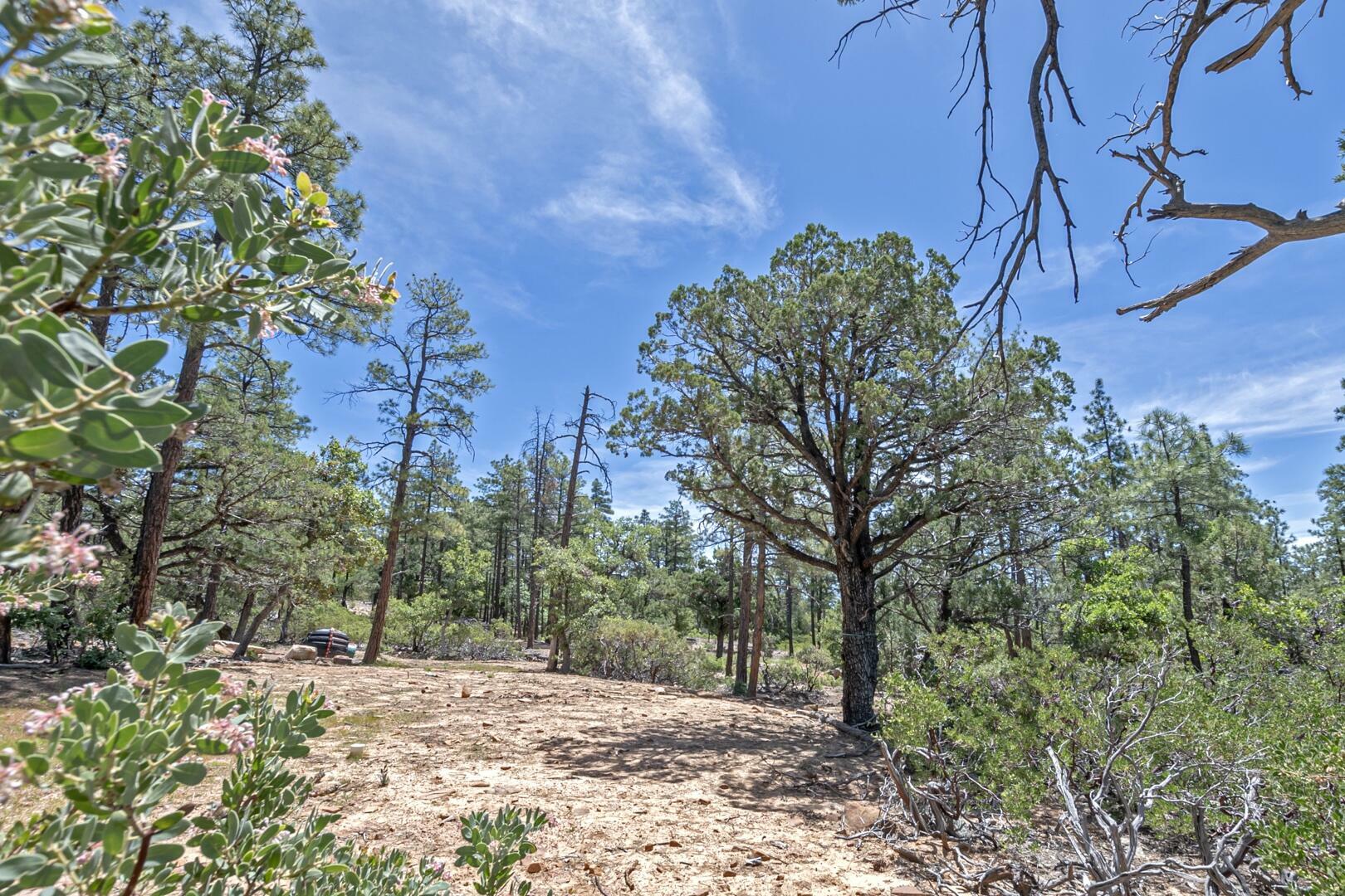 Property Photo:  4521 N Pine Hollow Trail  AZ 85544 