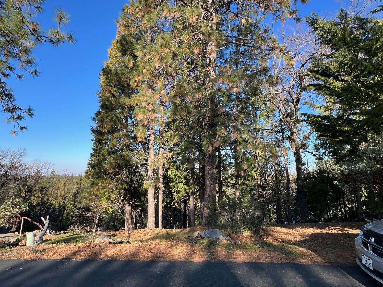 Property Photo:  1238 Canyon Ridge Court  CA 95247 