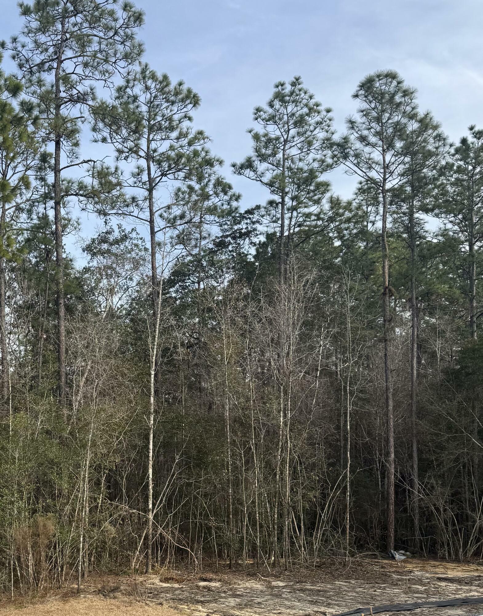 Property Photo:  6623 Spyglass Hill Road  FL 32567 