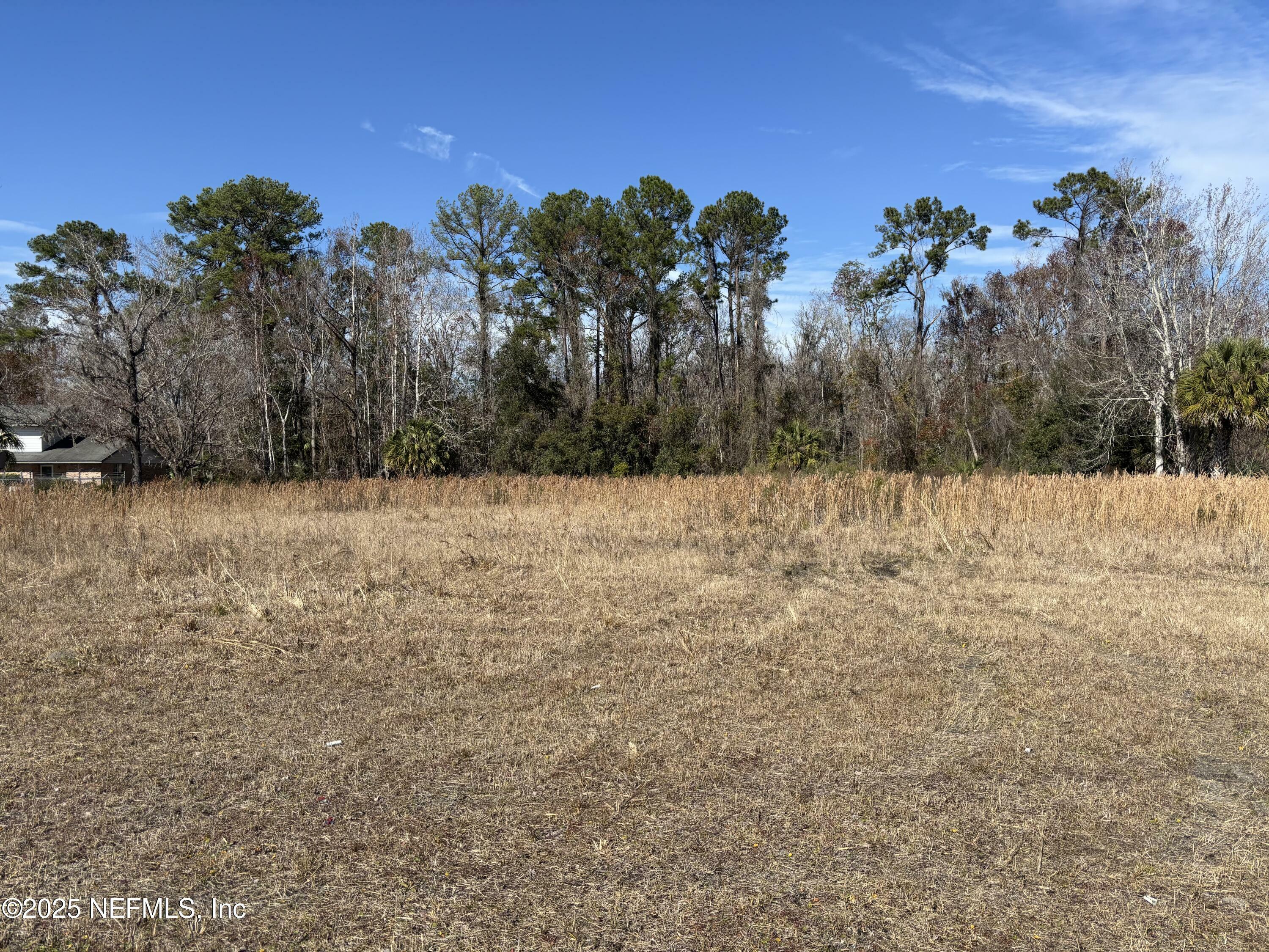 Property Photo:  1000 Cooks Lane  FL 32043 