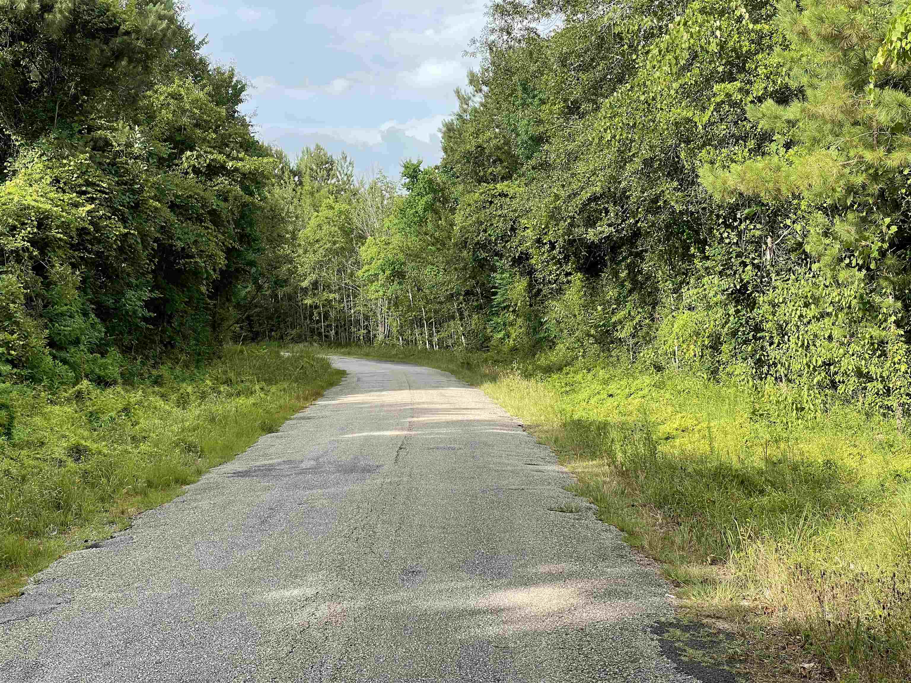 Property Photo:  Tract 3 County Road 786  TX 77612 