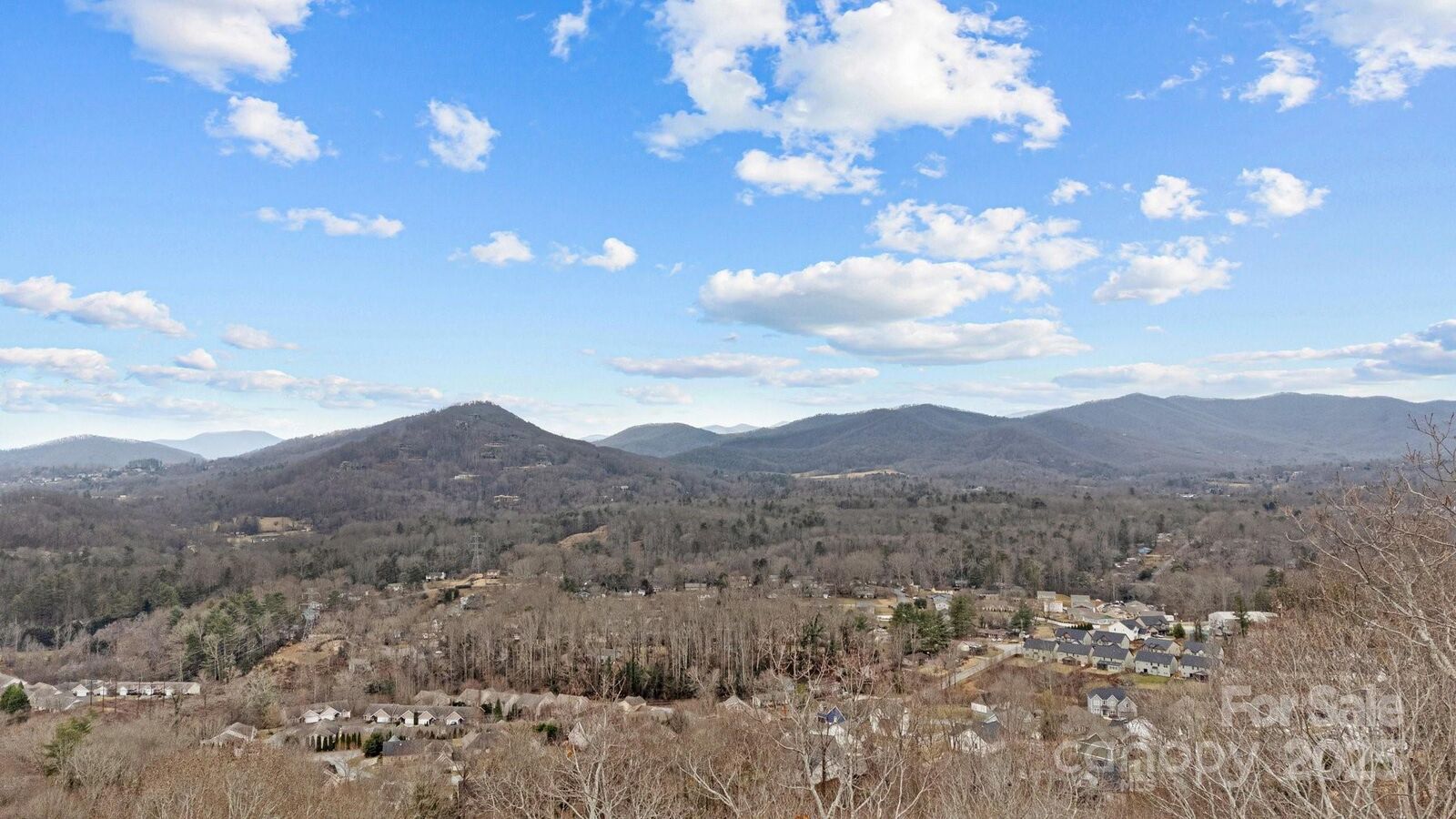 Property Photo:  52 Arabella Lane  NC 28704 