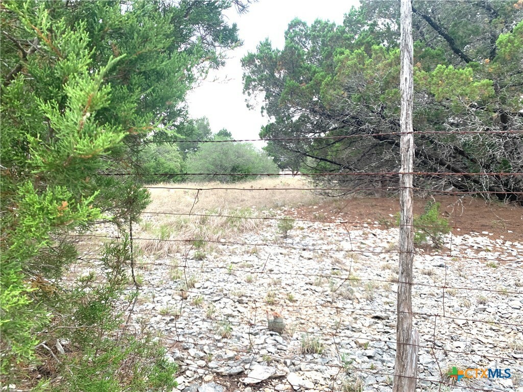 Property Photo:  0 Firefly Road  TX 76527 