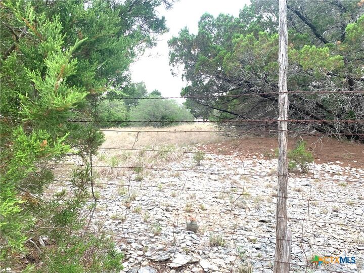 Property Photo:  0 Firefly Road  TX 76527 