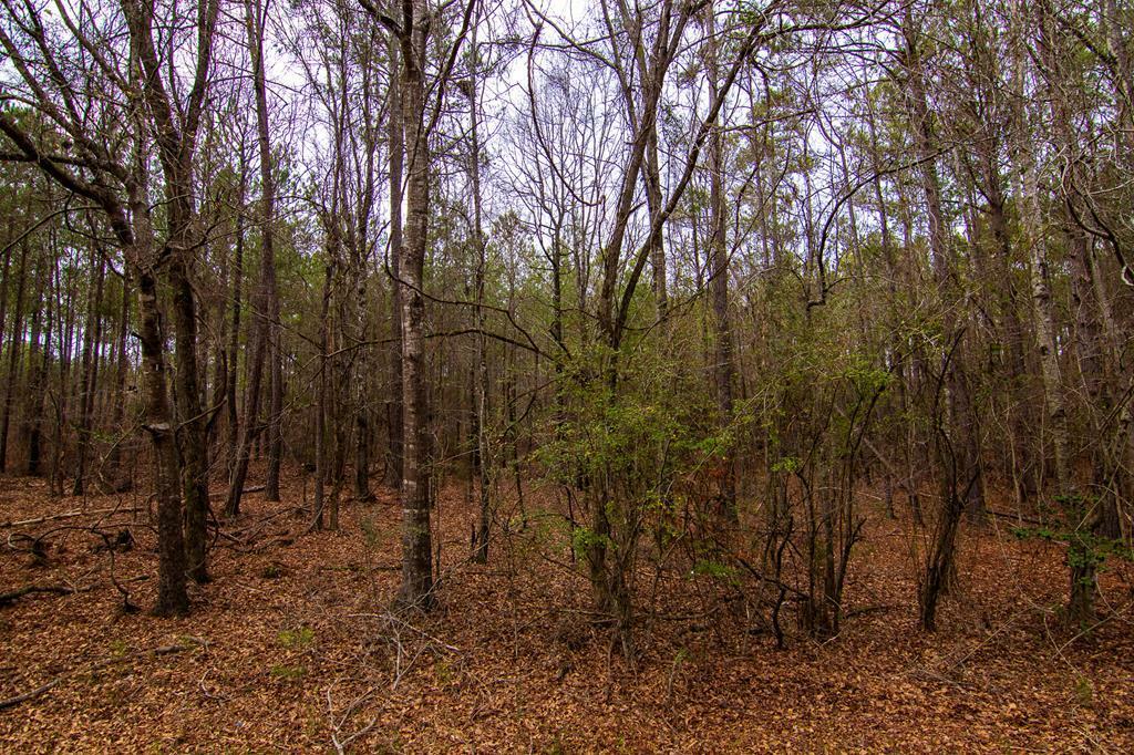 Property Photo:  0 Flat Shoals Church Road  GA 31822 