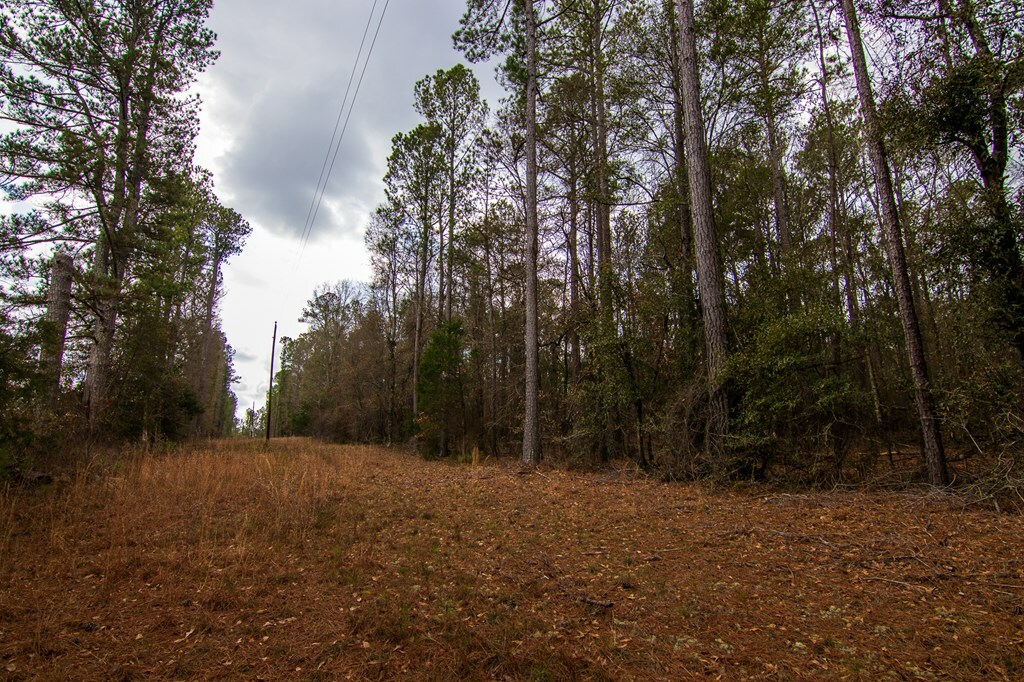 Property Photo:  0 Salem Road  GA 31822 