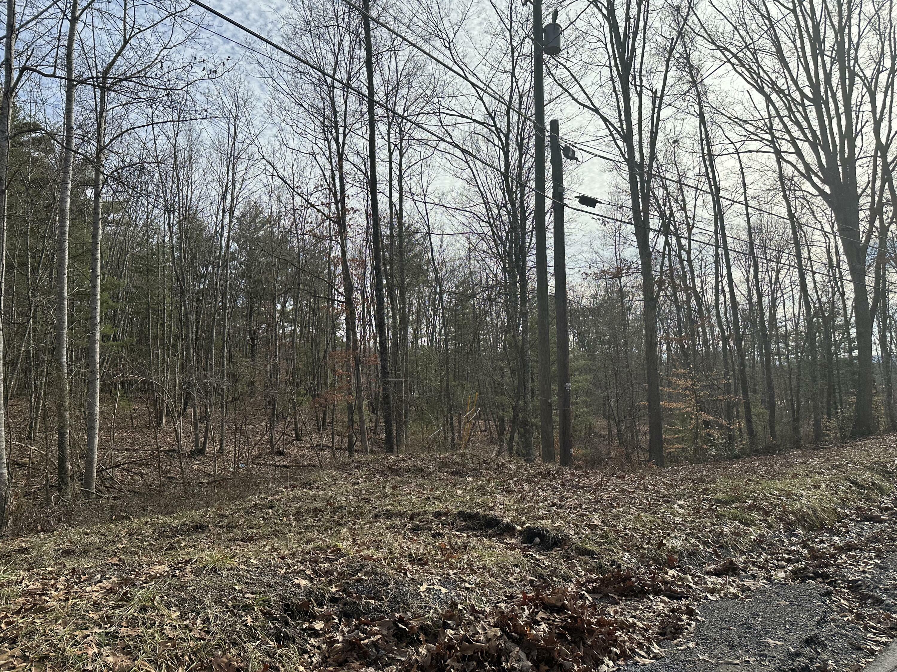 Property Photo:  Lot 2 Rt. 1 Muddy Creek Mountain  WV 24910 