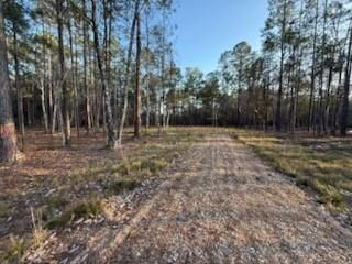 Property Photo:  23523 Long Branch Drive  LA 70420 