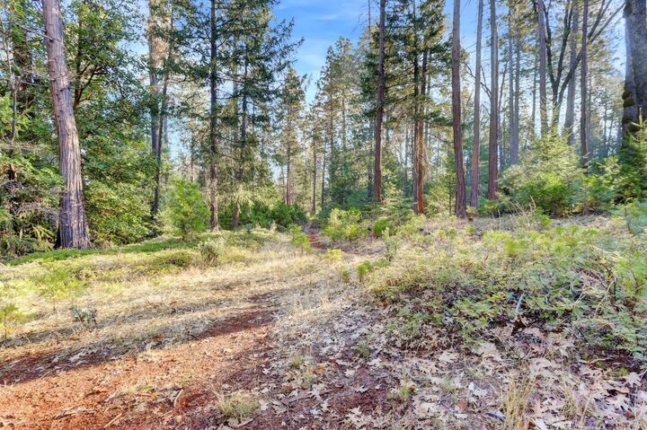 Property Photo: 0 Cedar Ridge Drive CA 95945