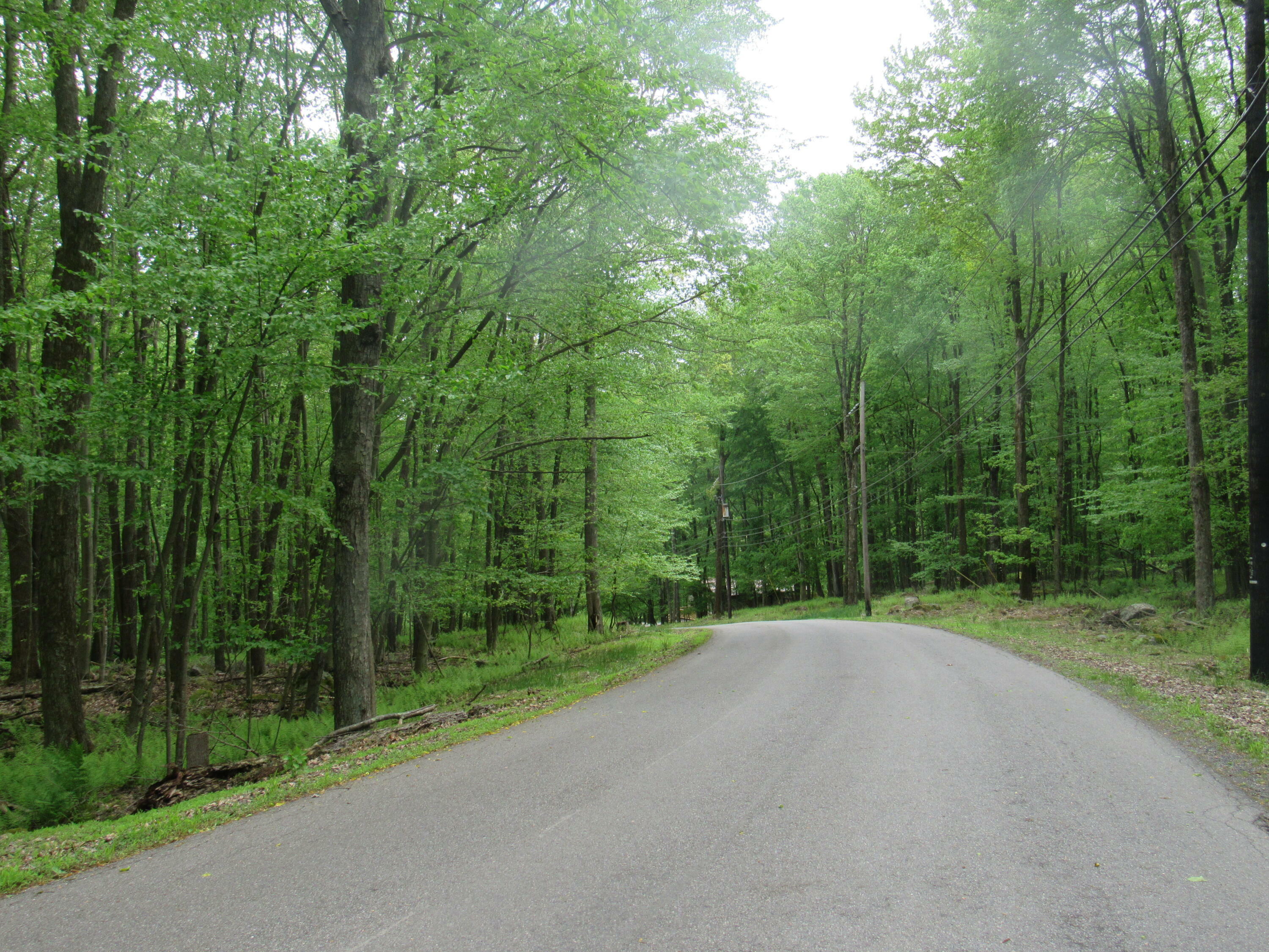 Property Photo: 17 Cap Haiten PA 15801