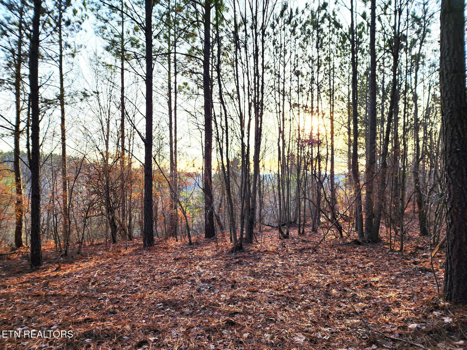Property Photo: T27 West Robbins Rd TN 37852
