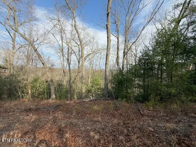 Property Photo:  Lot 974 Ridgefield Dr  TN 37876 