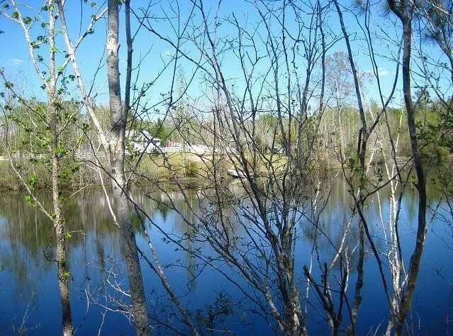 Property Photo: 601 Herbert Brown Road AL 36830