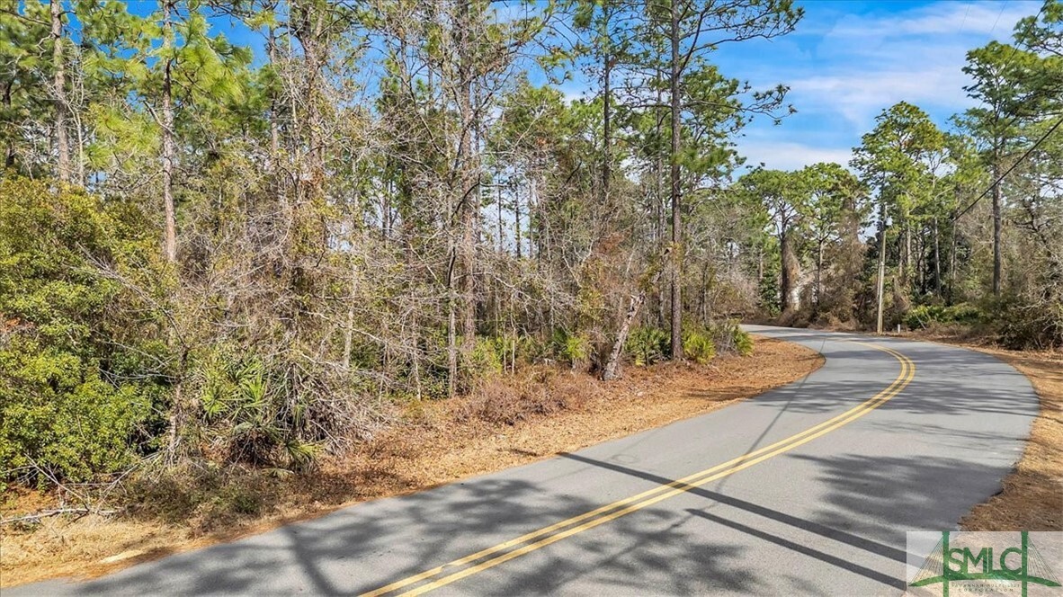 Property Photo: 51 Pine Forest Drive GA 31546