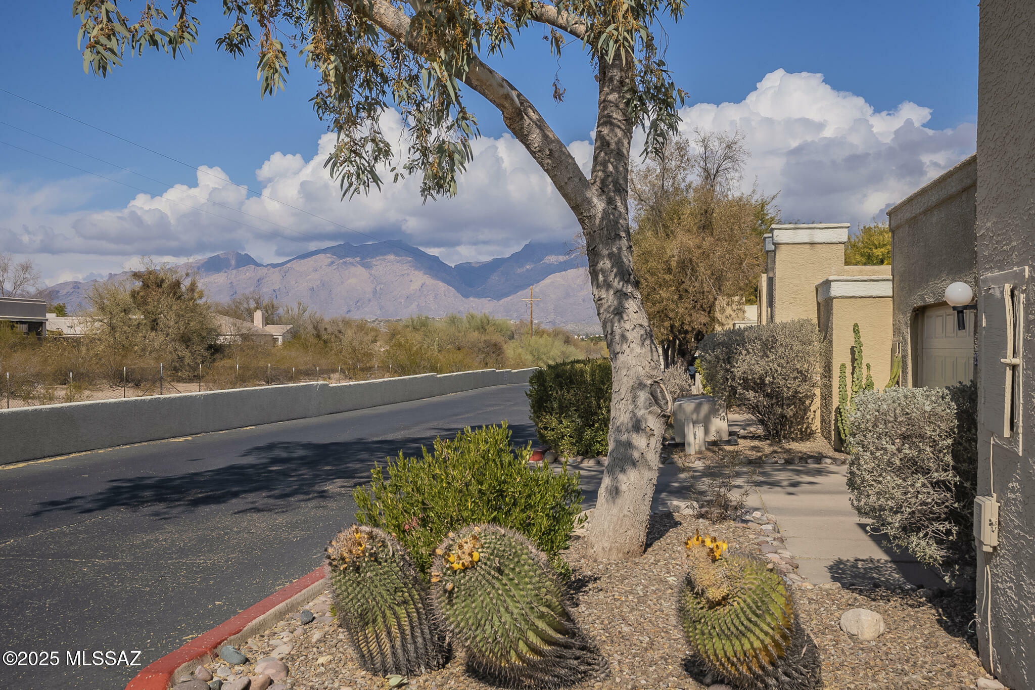 Property Photo:  2496 N Bay Drive  AZ 85715 