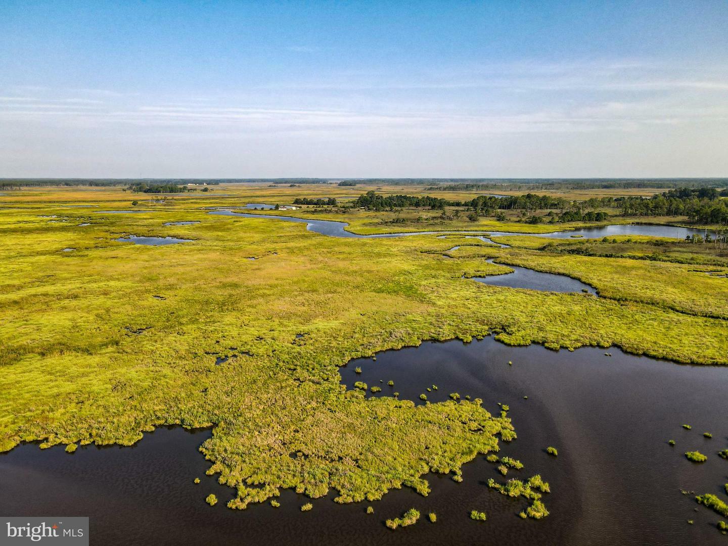 Property Photo:  Griffith Neck Road  MD 21613 