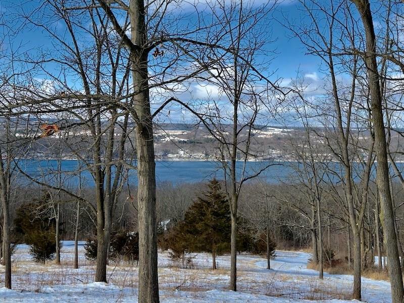 Property Photo:  0 Nichols Rd  NY 14818 