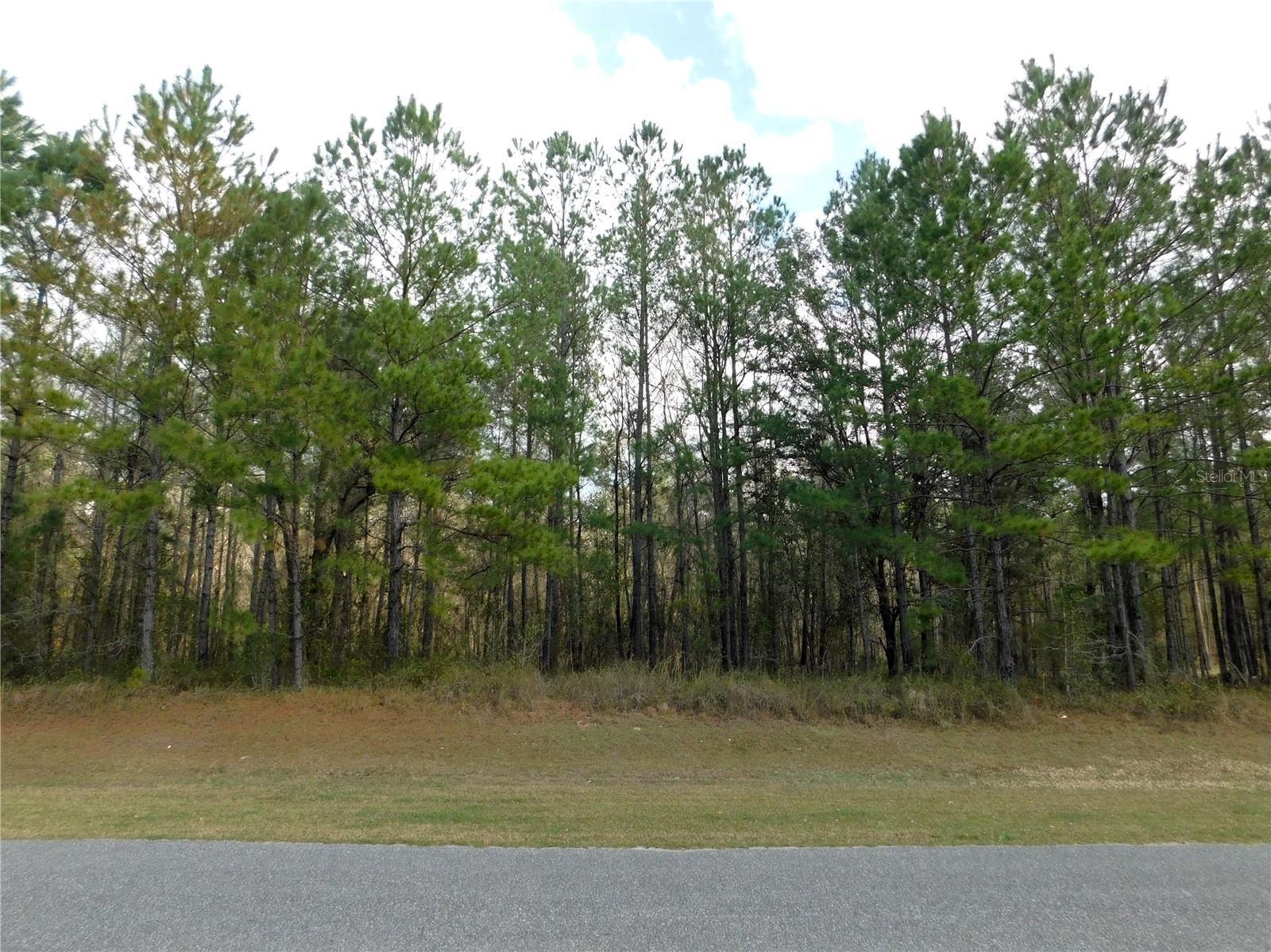Property Photo:  Lot 4 NW 145 Avenue  FL 32696 