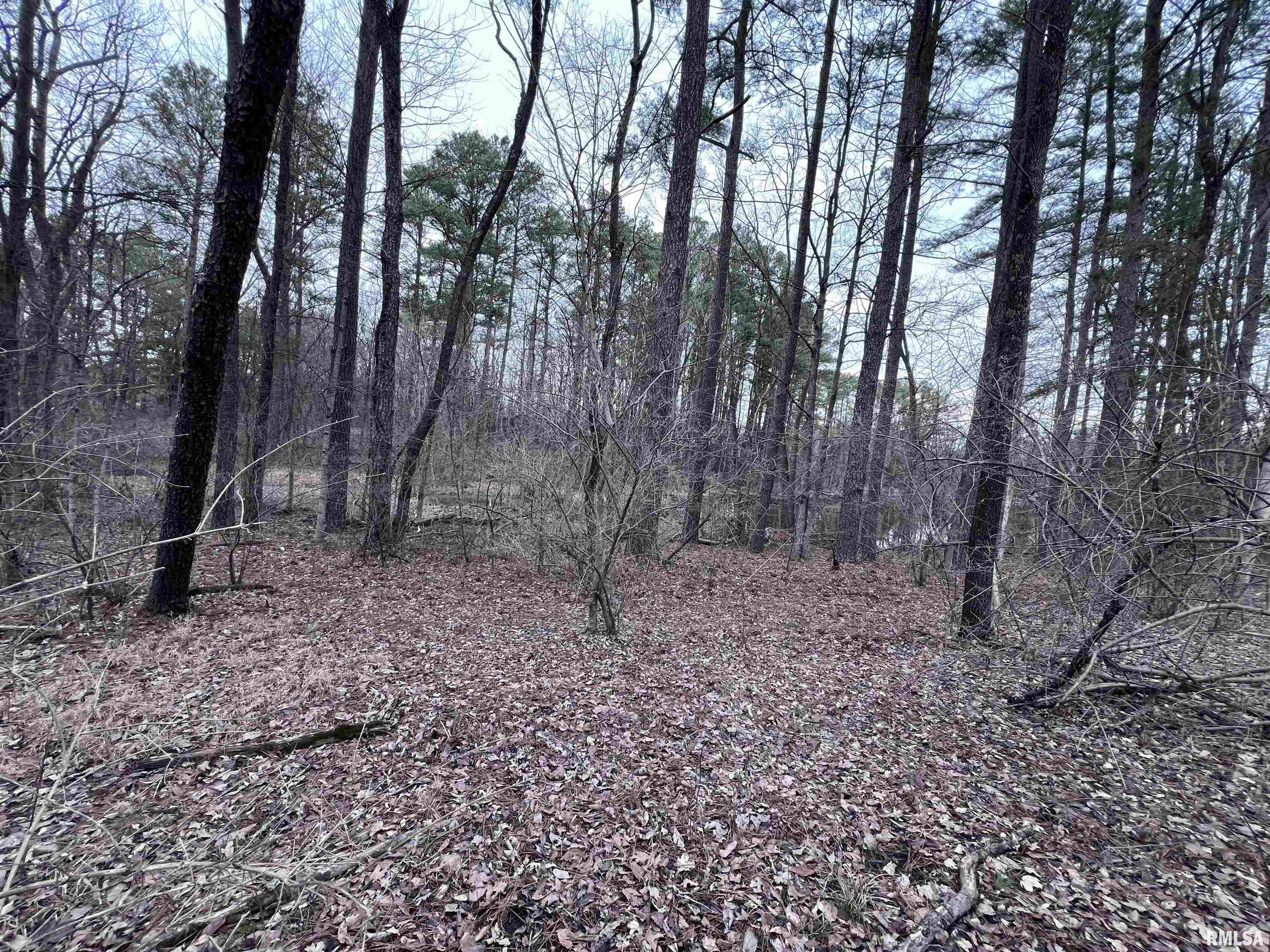 Property Photo: 449 Pine Lane IL 62966