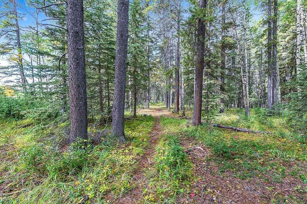 Property Photo:  336 Street W  AB T0L 1W0 