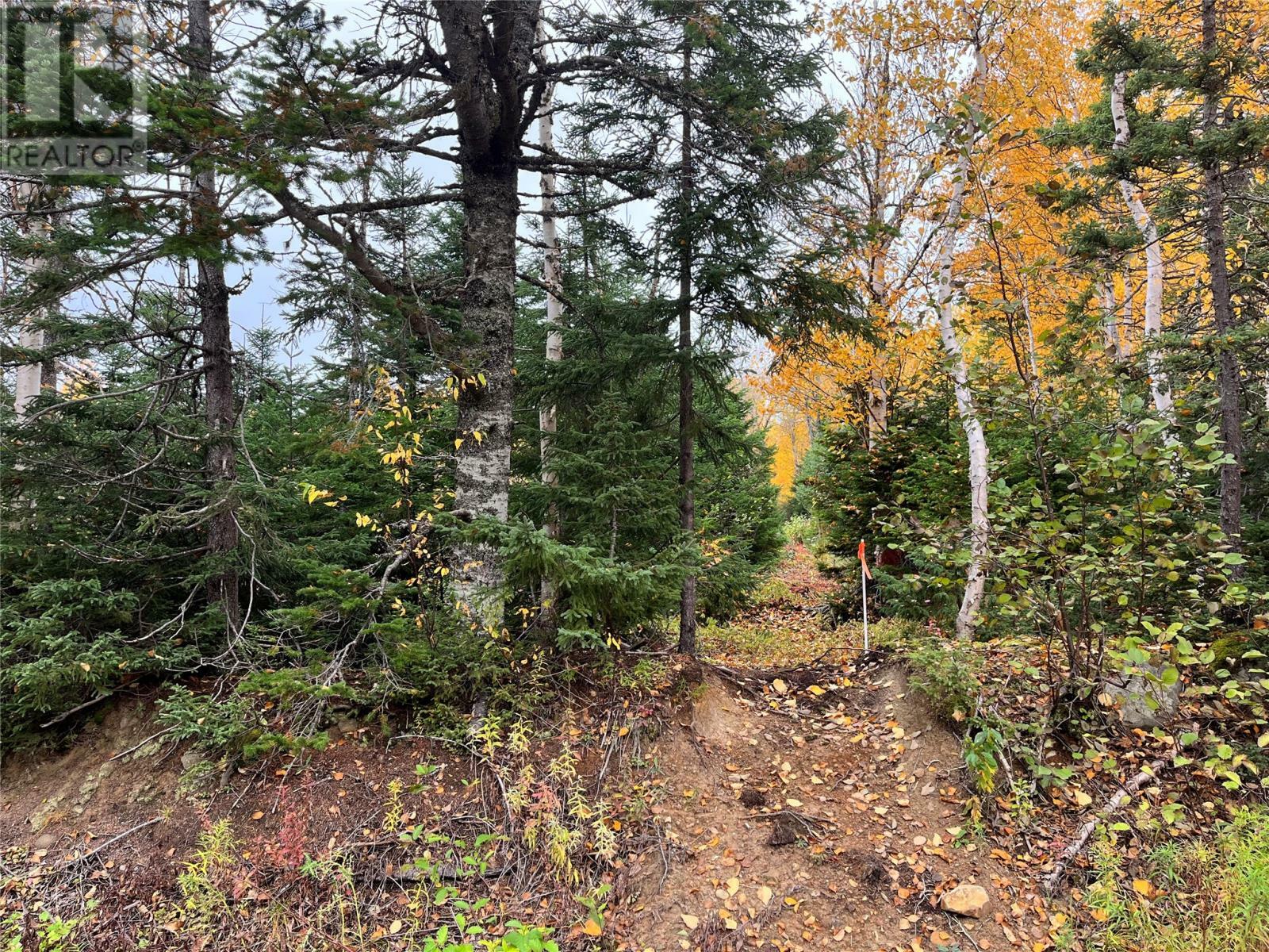 Property Photo:  322 Main Street  NL A0G 3N0 