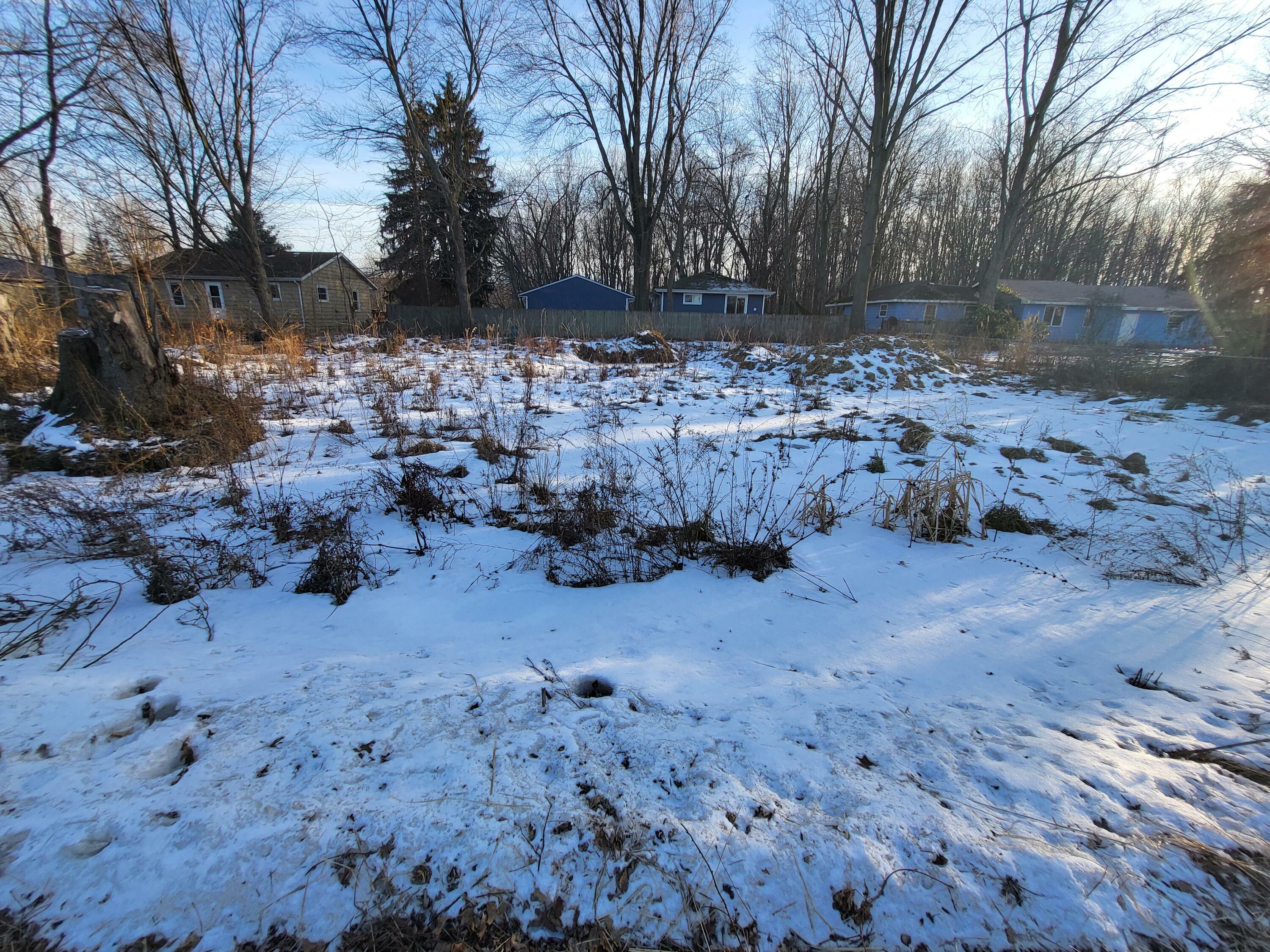 Property Photo:  V/L Sylvester  MI 49038 