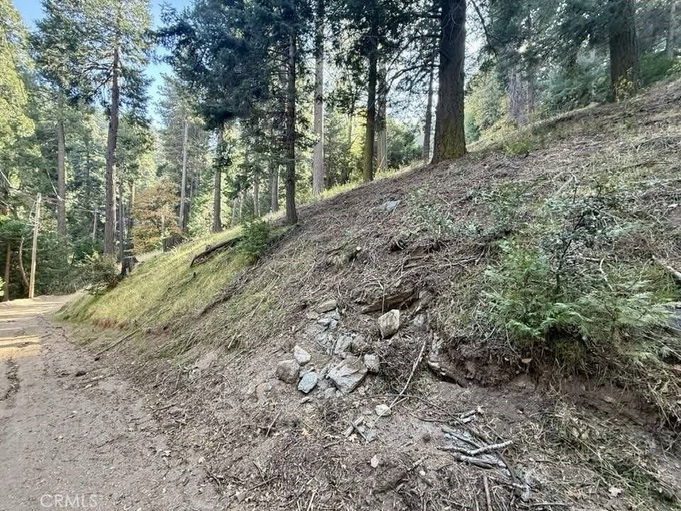 Property Photo:  0 Burnt Mill Canyon Road  CA 92322 