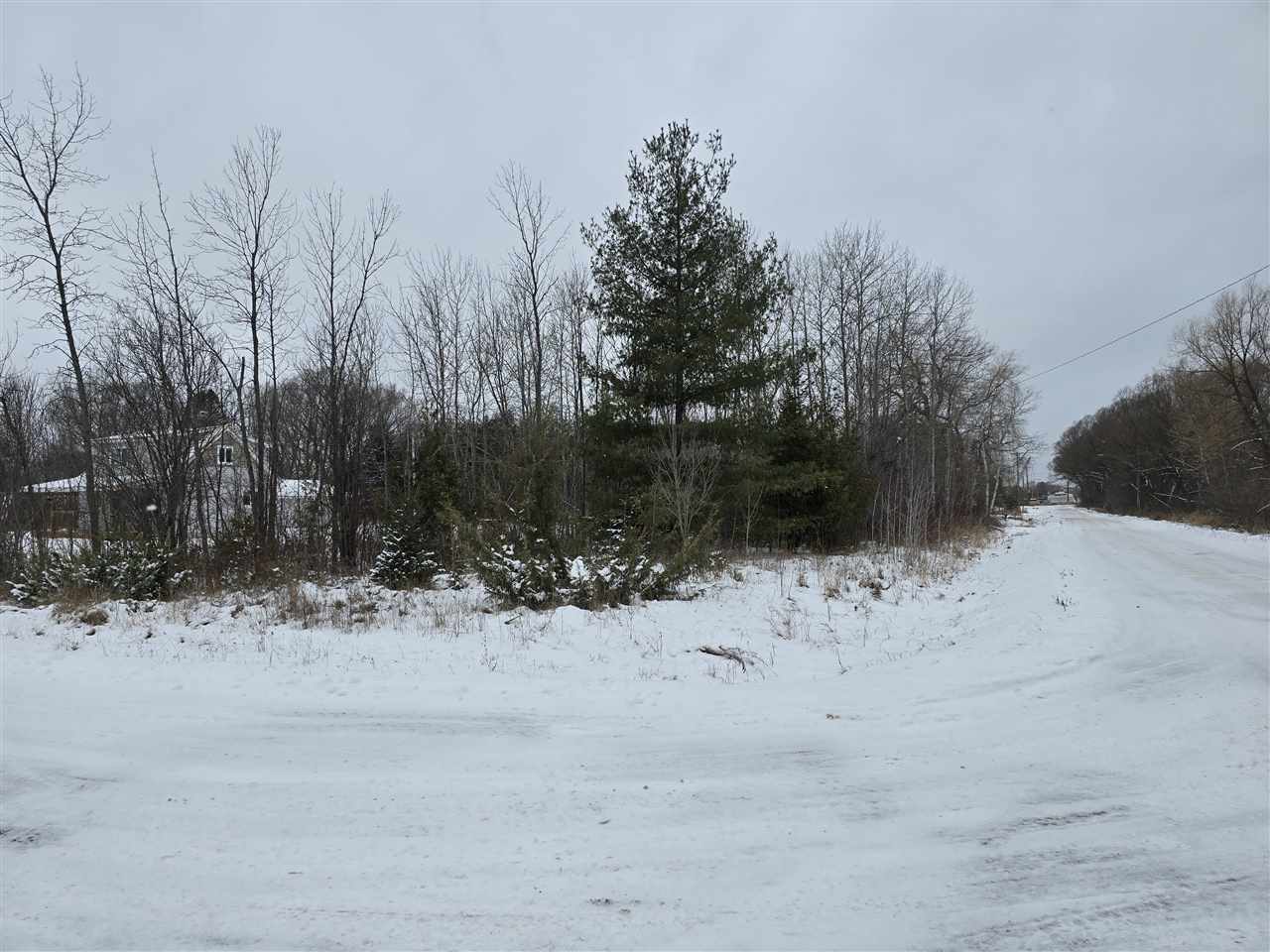 Property Photo: Tbd N E Lot #8 MI 49721