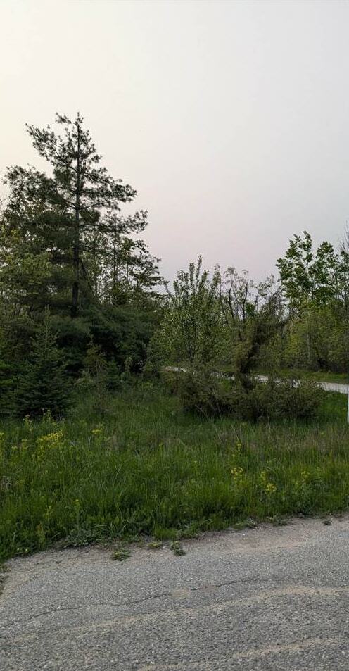 Property Photo: Tbd N E Lot #8 MI 49721