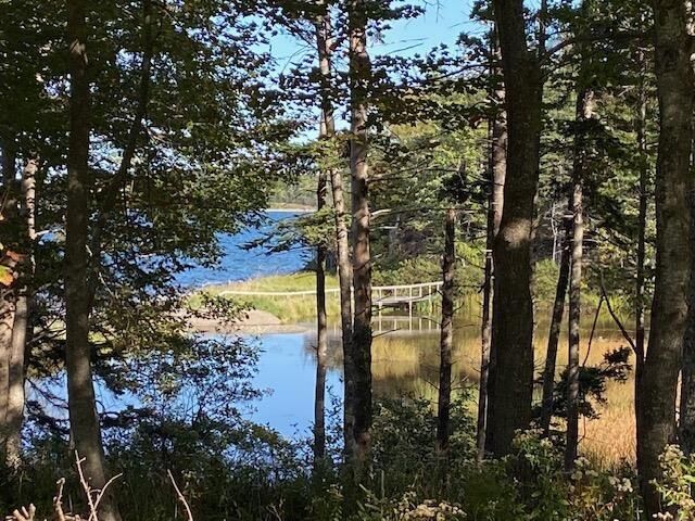 Lot 4 Macleods Pond Road — photo 1