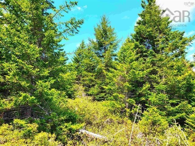 Property Photo:  Lot Back Road  NS B0J 2H0 