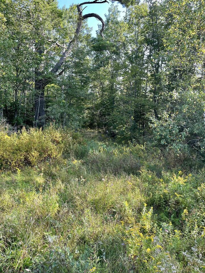 Property Photo:  Lot Highway 10  NS B0R 1H0 
