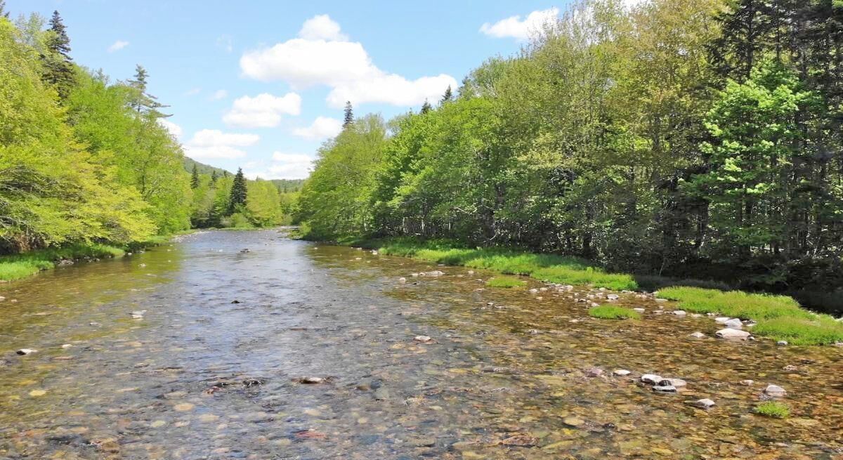 Property Photo:  3 Lots Gold Brook Road  NS B0E 1B0 