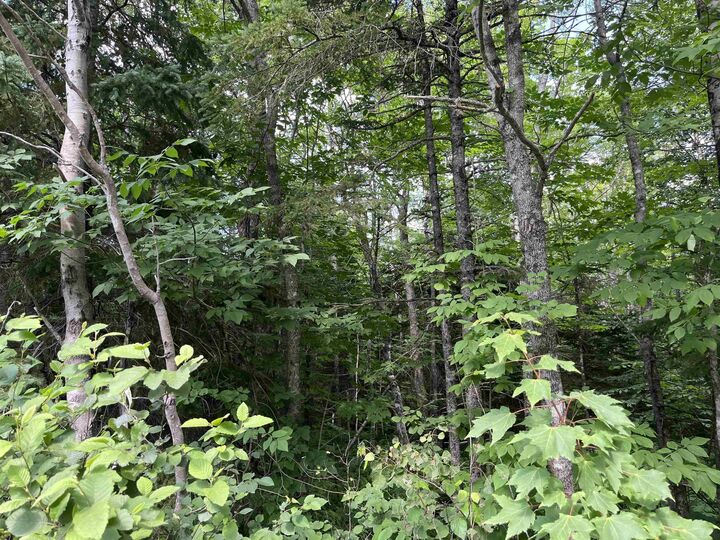 2 Lot 2 Butler Road Road — photo 1