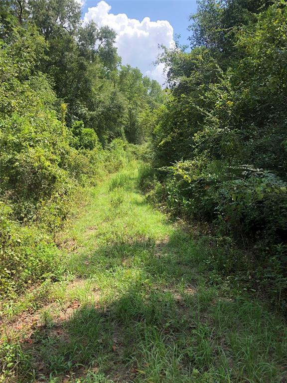 Property Photo: Tbd Block 02 Lot 12 TX 77302