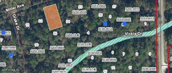 Property Photo: 115 Miller Avenue FL 32112