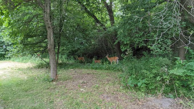 Property Photo: 2706 Lakeview Court MN 55113