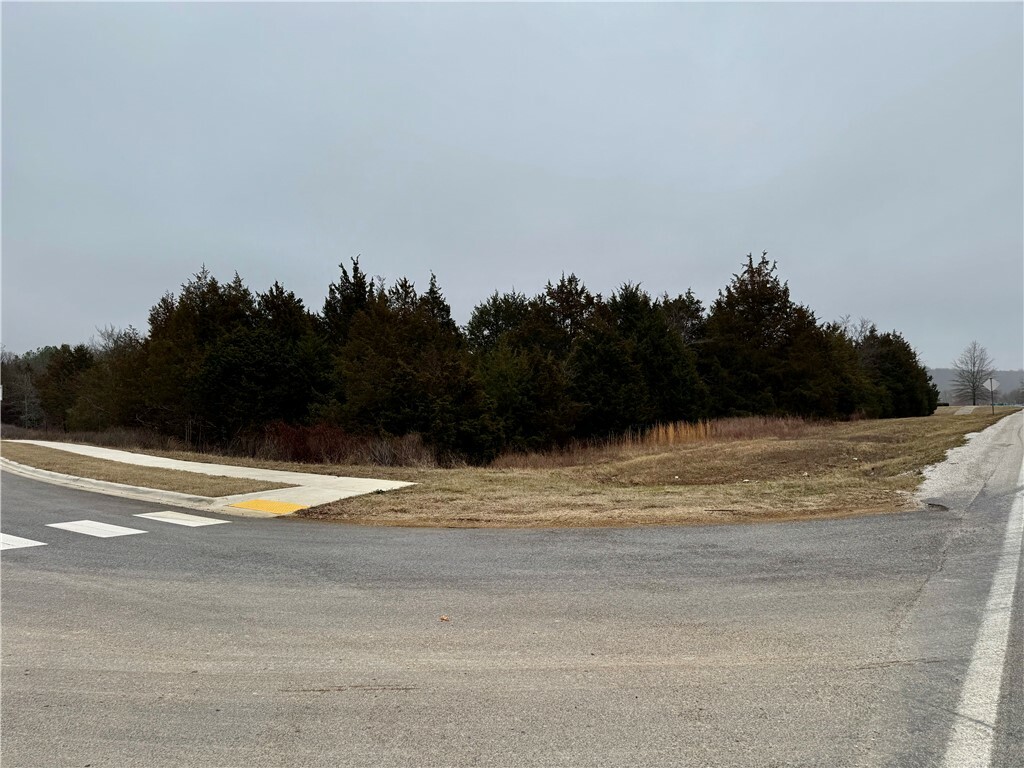 Property Photo:  S City Lake Road  AR 72701 